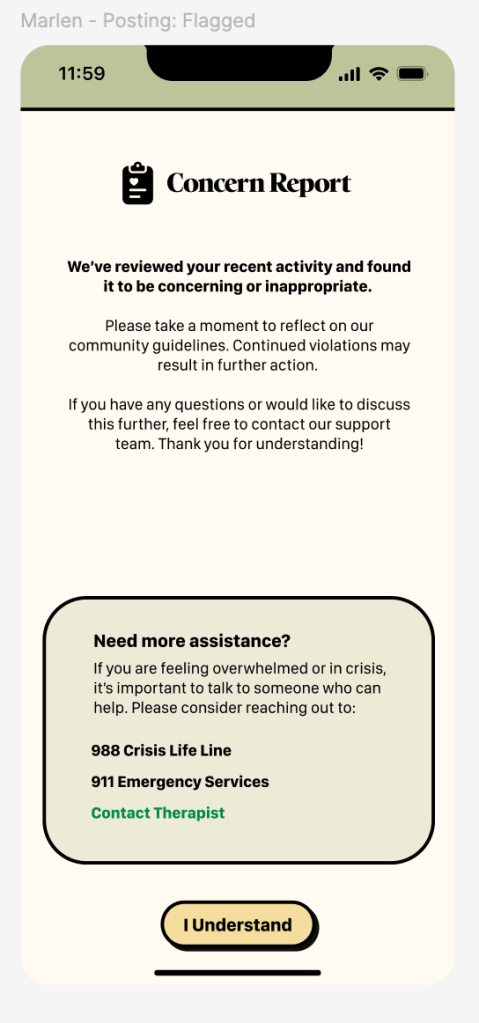 Concern report to the user.